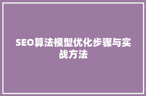 SEO算法模型优化步骤与实战方法