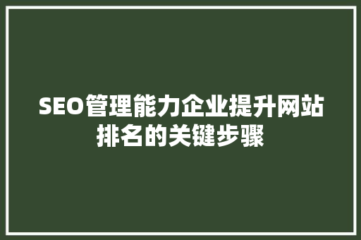 SEO管理能力企业提升网站排名的关键步骤