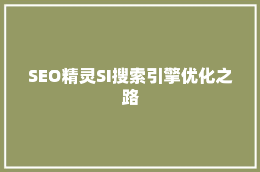 SEO精灵SI搜索引擎优化之路
