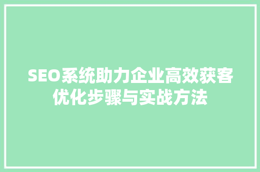 SEO系统助力企业高效获客优化步骤与实战方法
