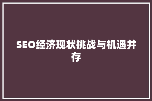 SEO经济现状挑战与机遇并存