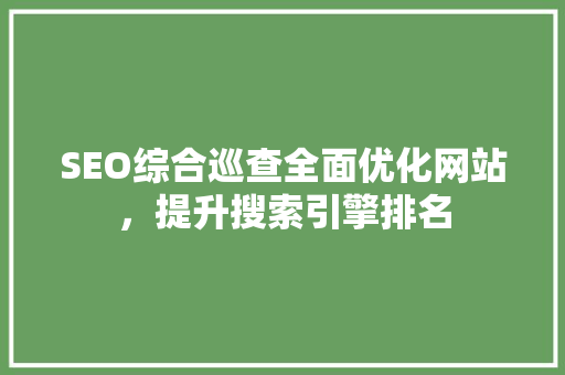 SEO综合巡查全面优化网站，提升搜索引擎排名