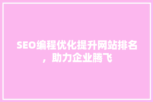 SEO编程优化提升网站排名，助力企业腾飞