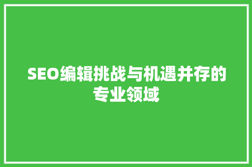 SEO编辑挑战与机遇并存的专业领域
