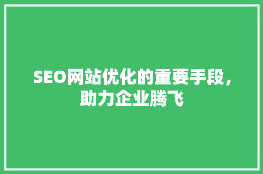 SEO网站优化的重要手段，助力企业腾飞