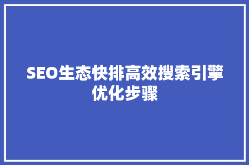 SEO生态快排高效搜索引擎优化步骤