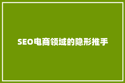 SEO电商领域的隐形推手