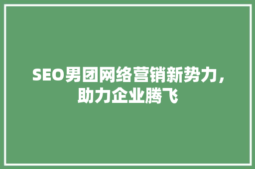 SEO男团网络营销新势力，助力企业腾飞