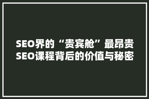 SEO界的“贵宾舱”最昂贵SEO课程背后的价值与秘密