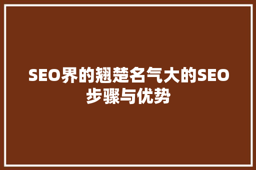 SEO界的翘楚名气大的SEO步骤与优势