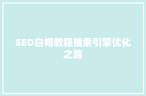 SEO白帽教程搜索引擎优化之路