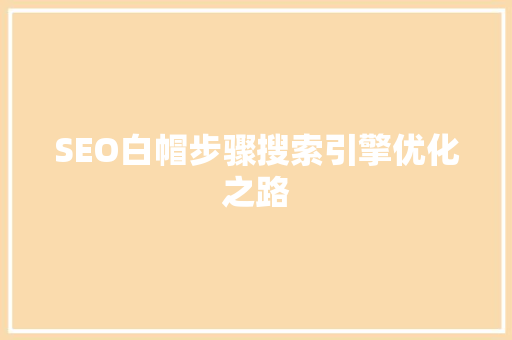 SEO白帽步骤搜索引擎优化之路