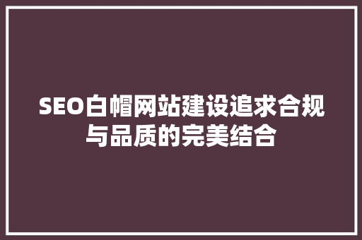 SEO白帽网站建设追求合规与品质的完美结合