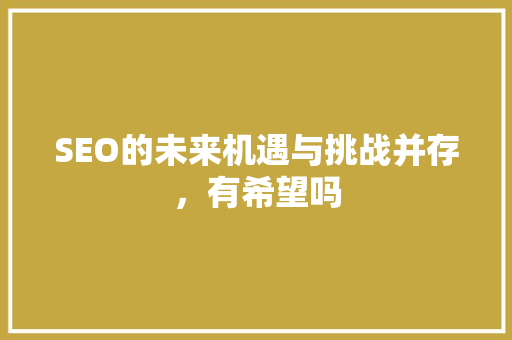 SEO的未来机遇与挑战并存，有希望吗