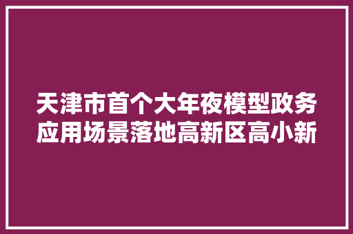 天津市首个大年夜模型政务应用场景落地高新区高小新AI正式上线