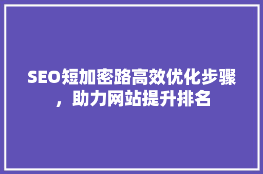 SEO短加密路高效优化步骤，助力网站提升排名