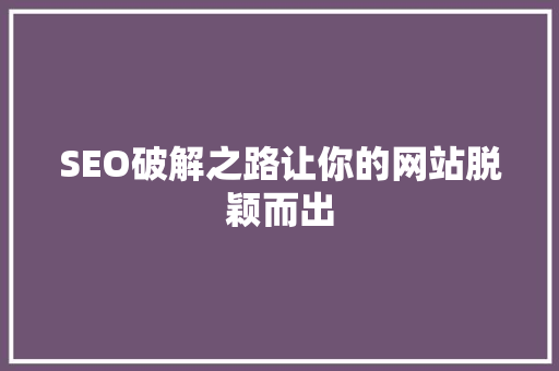 SEO破解之路让你的网站脱颖而出