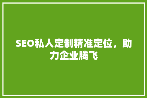 SEO私人定制精准定位，助力企业腾飞
