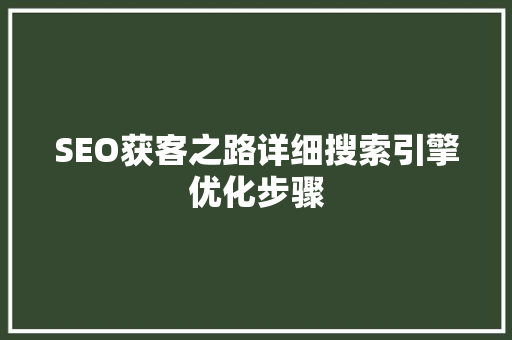 SEO获客之路详细搜索引擎优化步骤