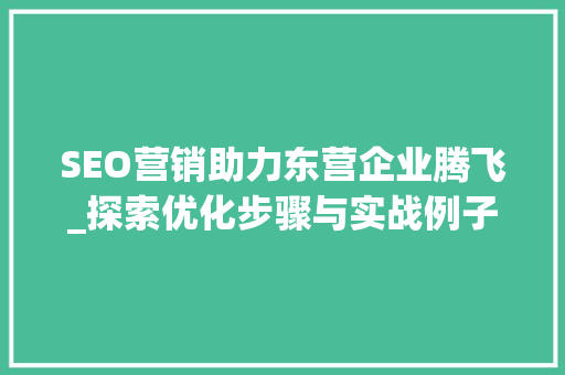 SEO营销助力东营企业腾飞_探索优化步骤与实战例子