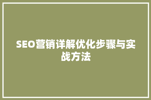 SEO营销详解优化步骤与实战方法