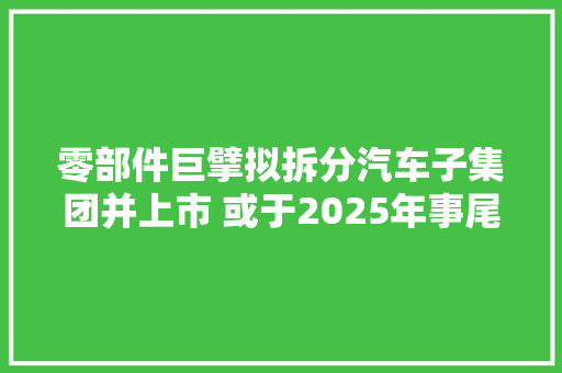 零部件巨擘拟拆分汽车子集团并上市 或于2025年事尾完成