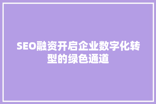SEO融资开启企业数字化转型的绿色通道