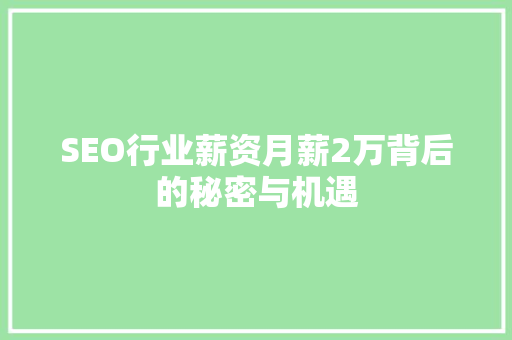 SEO行业薪资月薪2万背后的秘密与机遇