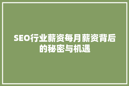SEO行业薪资每月薪资背后的秘密与机遇