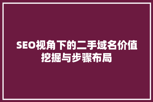 SEO视角下的二手域名价值挖掘与步骤布局