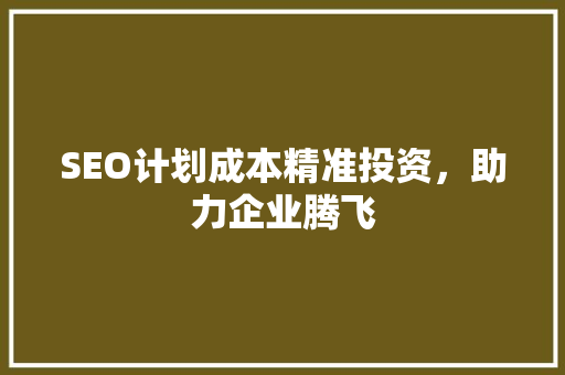 SEO计划成本精准投资，助力企业腾飞