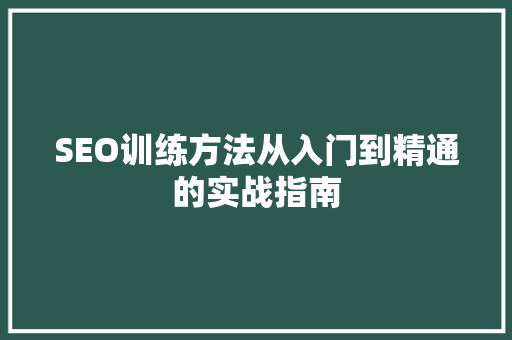 SEO训练方法从入门到精通的实战指南