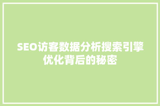 SEO访客数据分析搜索引擎优化背后的秘密