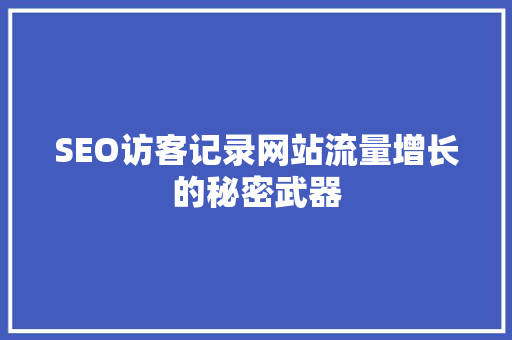 SEO访客记录网站流量增长的秘密武器