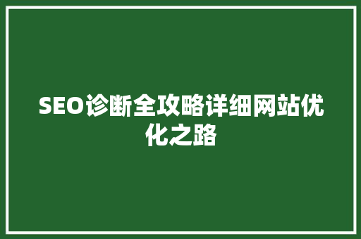 SEO诊断全攻略详细网站优化之路