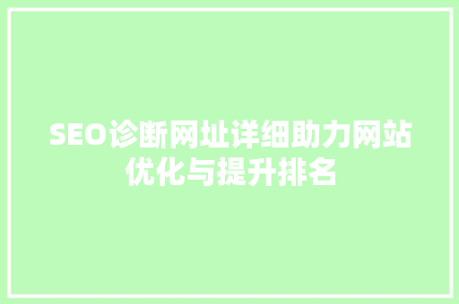SEO诊断网址详细助力网站优化与提升排名