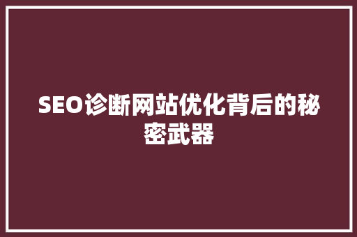 SEO诊断网站优化背后的秘密武器