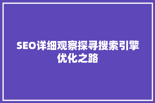 SEO详细观察探寻搜索引擎优化之路