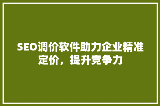 SEO调价软件助力企业精准定价，提升竞争力