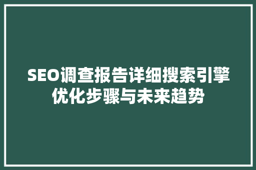 SEO调查报告详细搜索引擎优化步骤与未来趋势