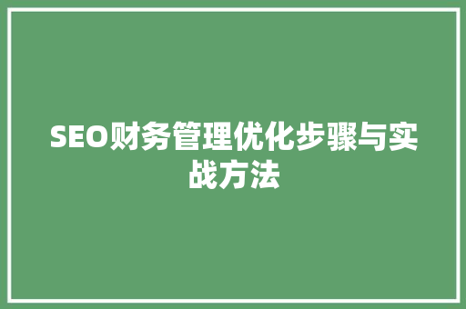 SEO财务管理优化步骤与实战方法