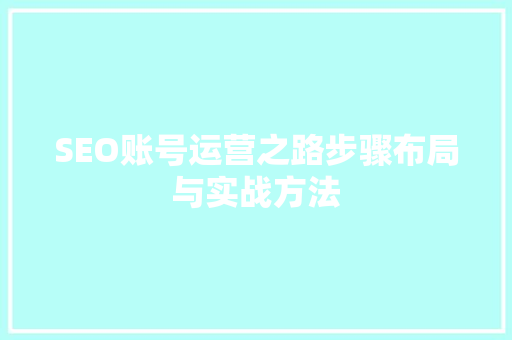 SEO账号运营之路步骤布局与实战方法
