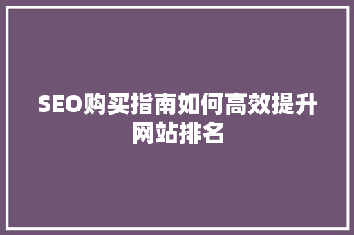 SEO购买指南如何高效提升网站排名