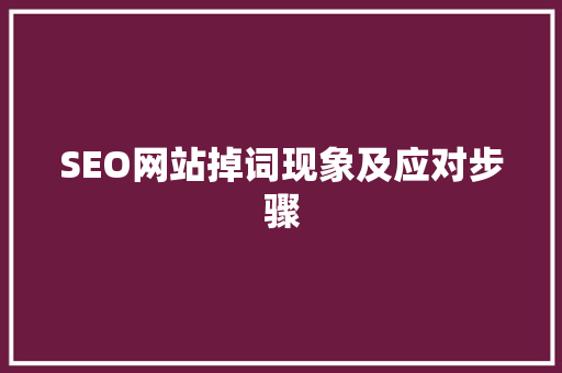 SEO网站掉词现象及应对步骤