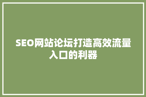 SEO网站论坛打造高效流量入口的利器