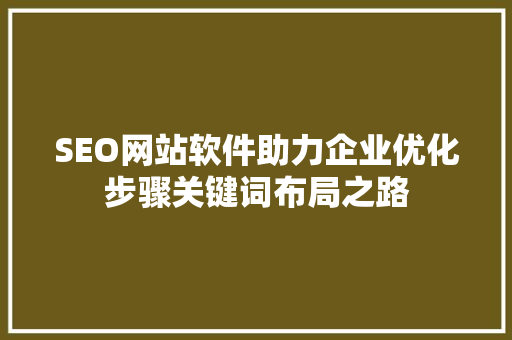 SEO网站软件助力企业优化步骤关键词布局之路