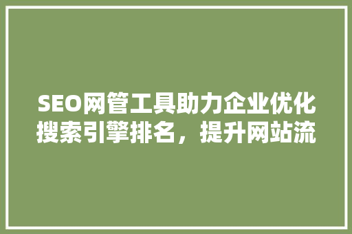 SEO网管工具助力企业优化搜索引擎排名，提升网站流量