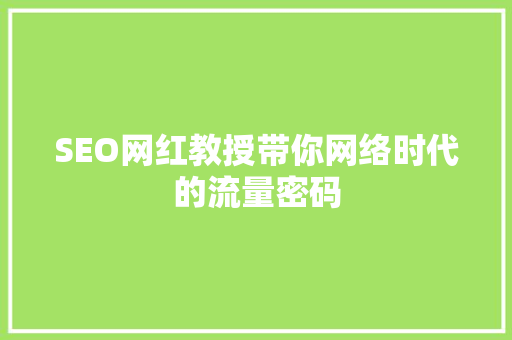 SEO网红教授带你网络时代的流量密码