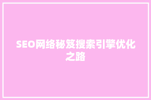 SEO网络秘笈搜索引擎优化之路