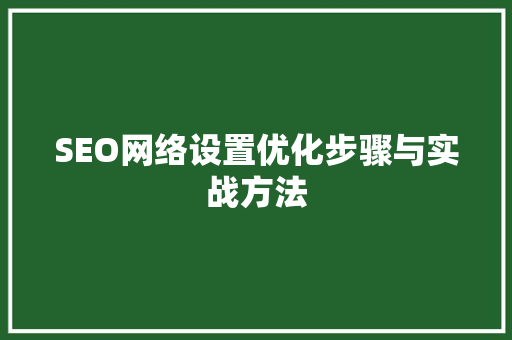 SEO网络设置优化步骤与实战方法